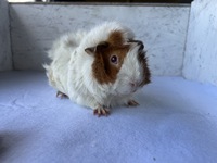 Caitlin (3) (Kopie)1 Caitlin (3) (Kopie)1