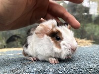 larson (5) (Kopie) larson (5) (Kopie)