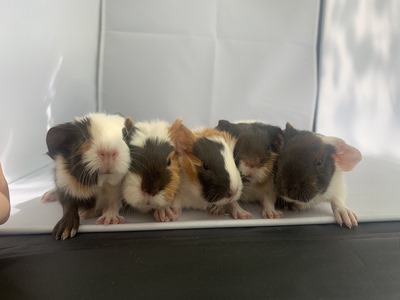 magdamara X evian (Kopie) magdamara X evian (Kopie)