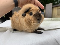penny (Kopie) penny (Kopie)