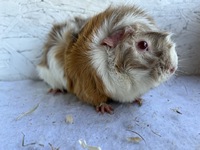 suna (3) (Kopie) suna (3) (Kopie)