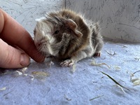 xerimo (2) (Kopie) xerimo (2) (Kopie)