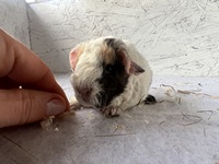 Destina (2) (Kopie) Destina (2) (Kopie)