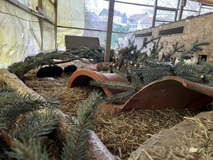 Dezember 2022 (10) (Kopie)2