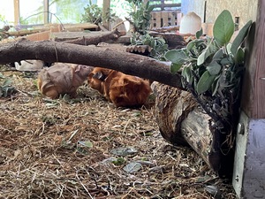 IMG_0511 (Kopie)
