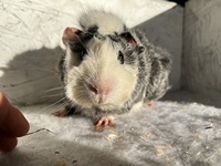 Magic memory (3) (Kopie)