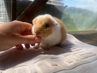 Mina (3) (Kopie) Mina (3) (Kopie)