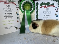 Monte Recklinghausen 25 (2) (Kopie) Monte Recklinghausen 25 (2) (Kopie)