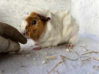 Sunset (2) (Kopie)1 Sunset (2) (Kopie)1