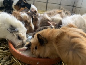 babys januar 2021 (1) (Kopie)