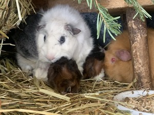 babys januar 2021 (4) (Kopie)