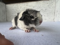 dolce vita (3) (Kopie)