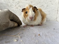 emely (2) (Kopie) emely (2) (Kopie)