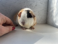 jenna (3) (Kopie)