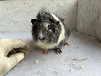 s�dseefeeling (2) (Kopie)